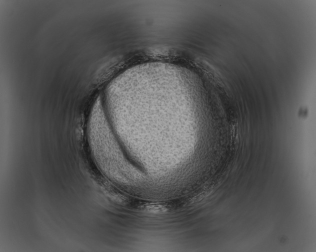 X0000091090702200708271256