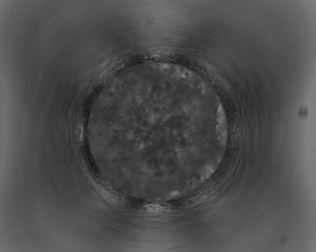 X0000091090703200708271256