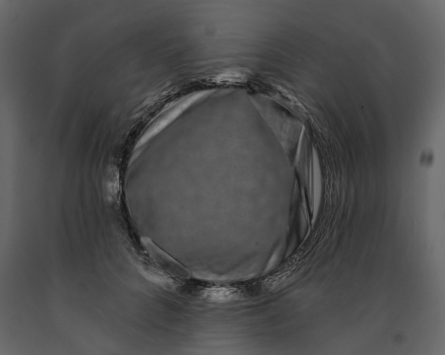 X0000091090704200708271256