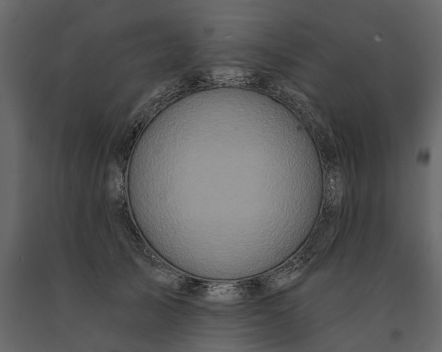 X0000091090705200708271256