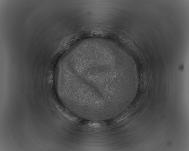 X0000091090706200708271256