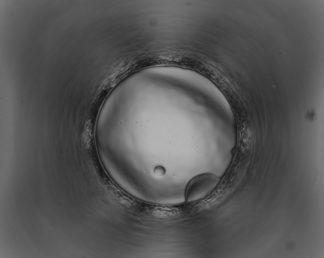 X0000091090707200708271256