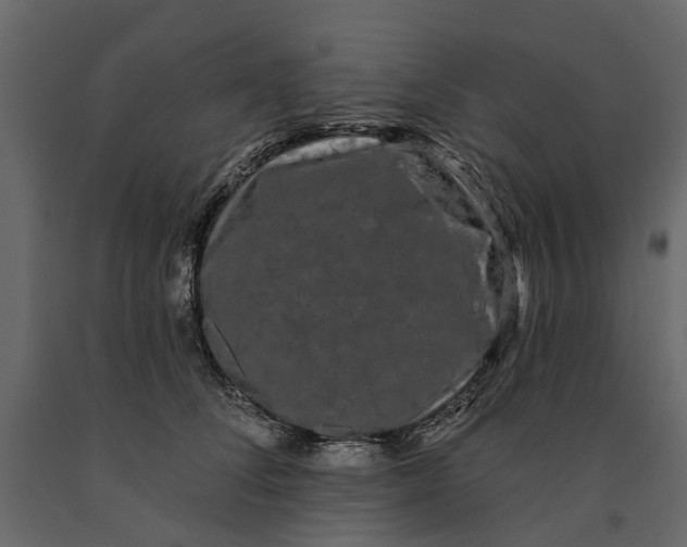 X0000091090708200708271256