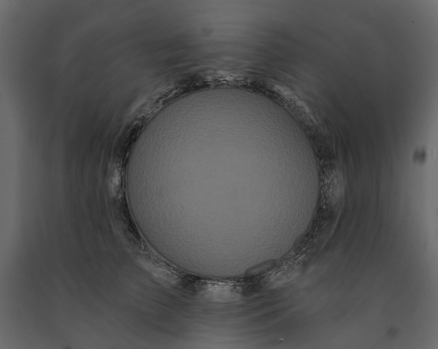 X0000091090709200708271256