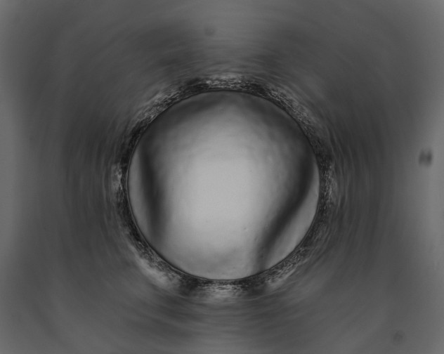 X0000091090711200708271256