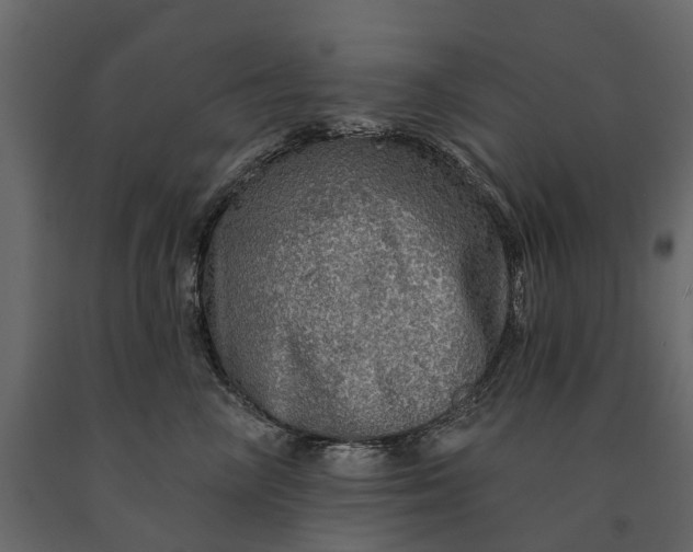 X0000091090714200708271256