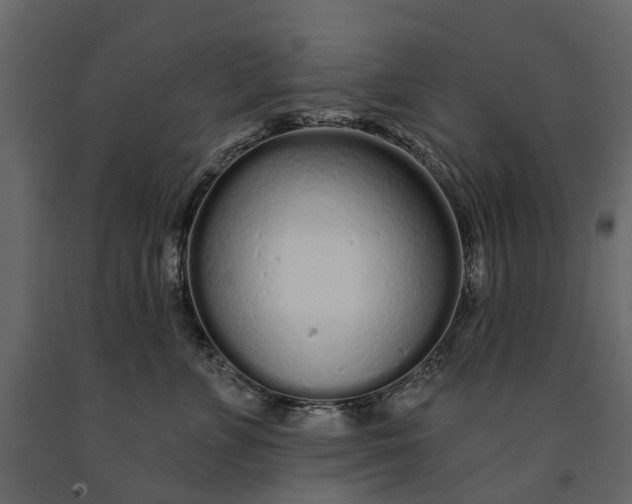 X0000091090715200708271256