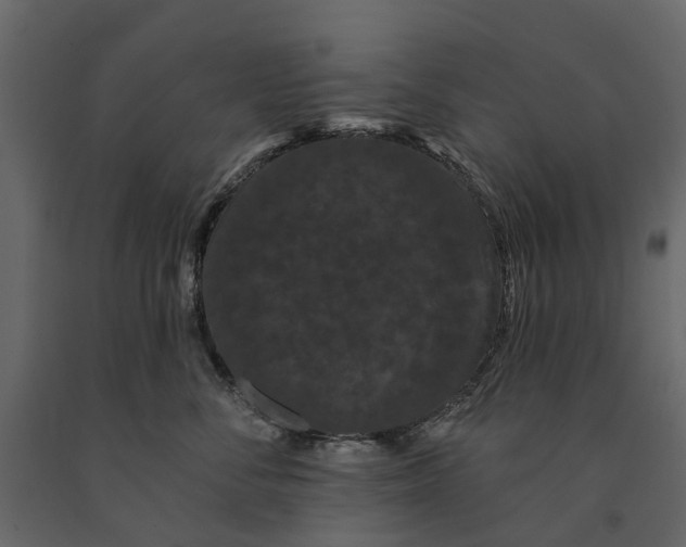 X0000091090716200708271256