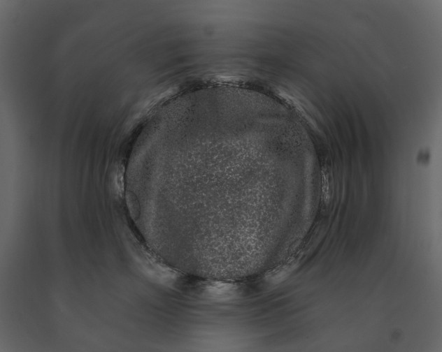 X0000091090718200708271256