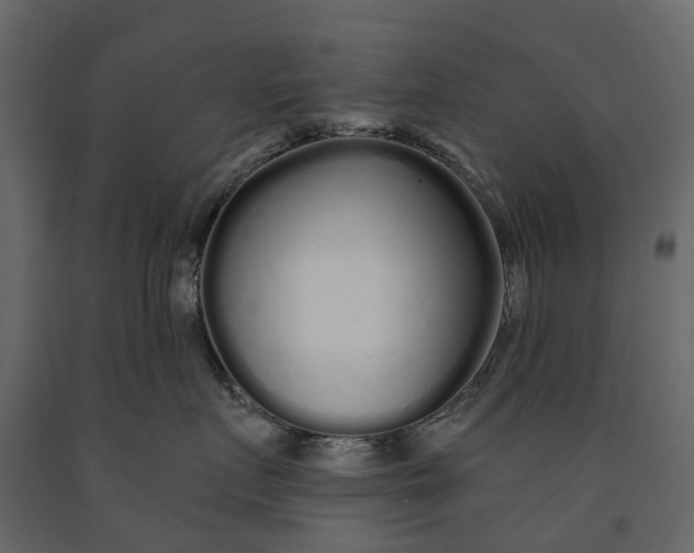 X0000091090719200708271256