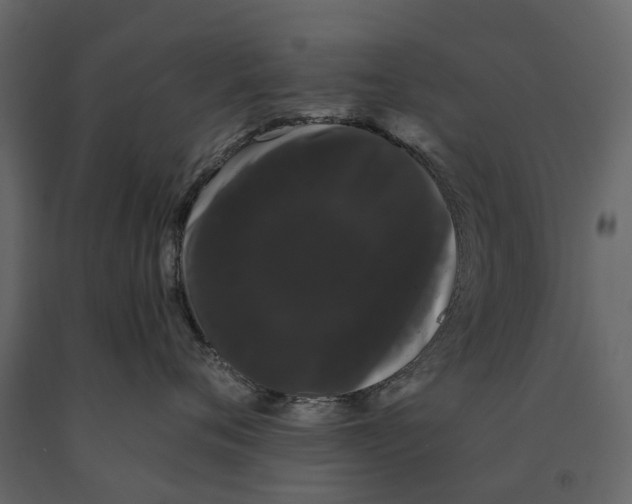 X0000091090720200708271256