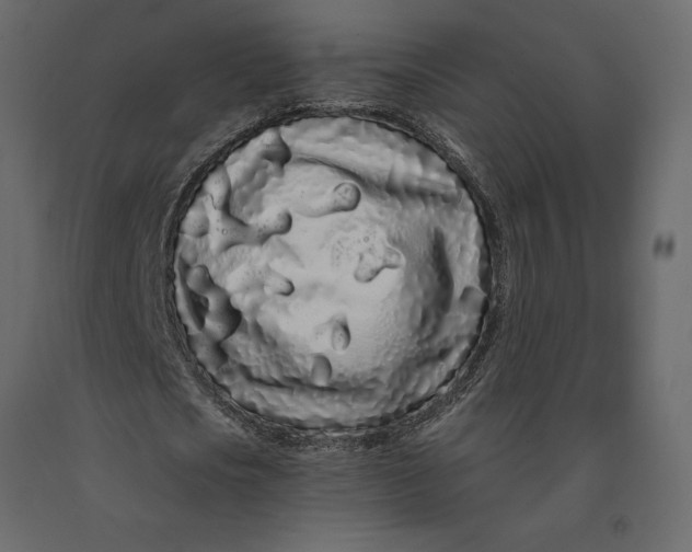 X0000091090721200708271255