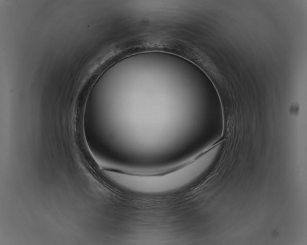 X0000091090722200708271255