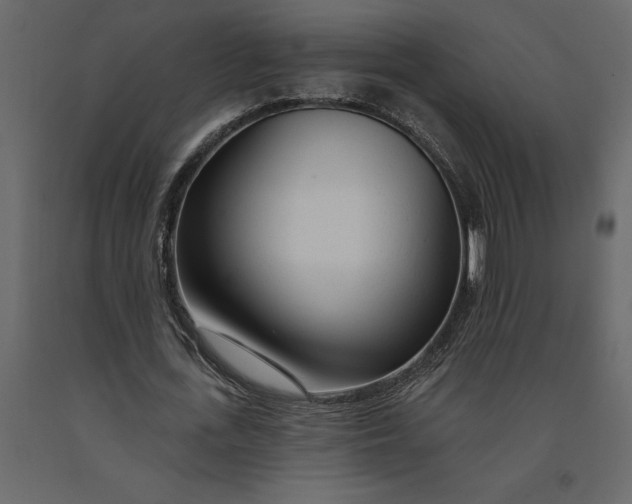 X0000091090723200708271255