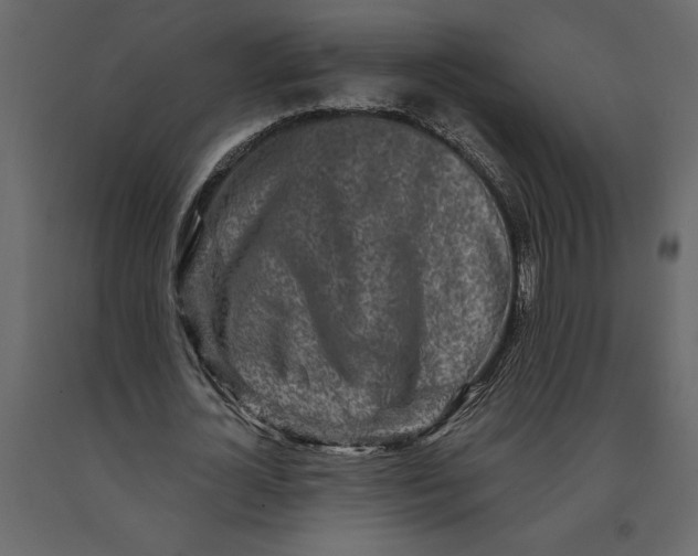 X0000091090724200708271255