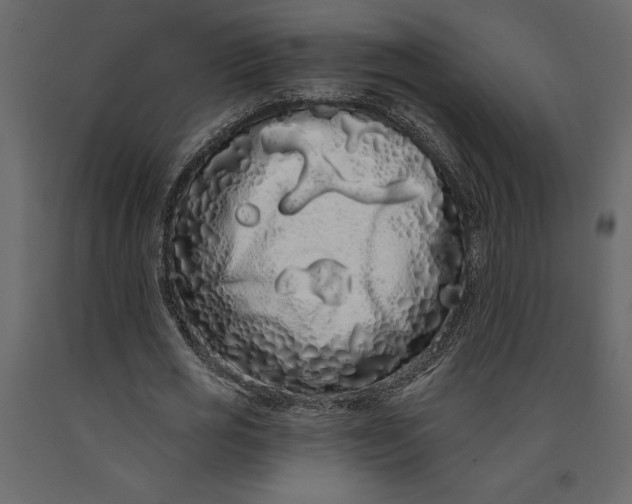 X0000091090725200708271255