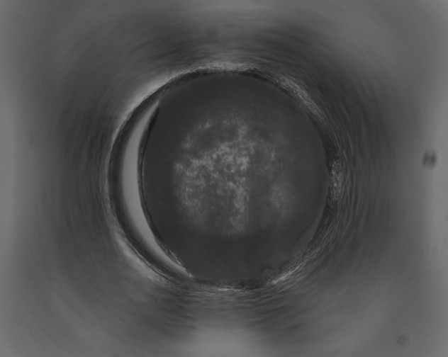 X0000091090726200708271255