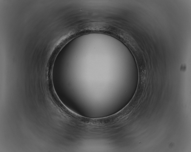 X0000091090727200708271255