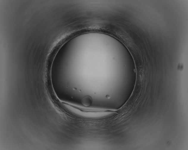 X0000091090728200708271255