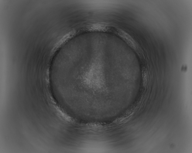 X0000091090729200708271255