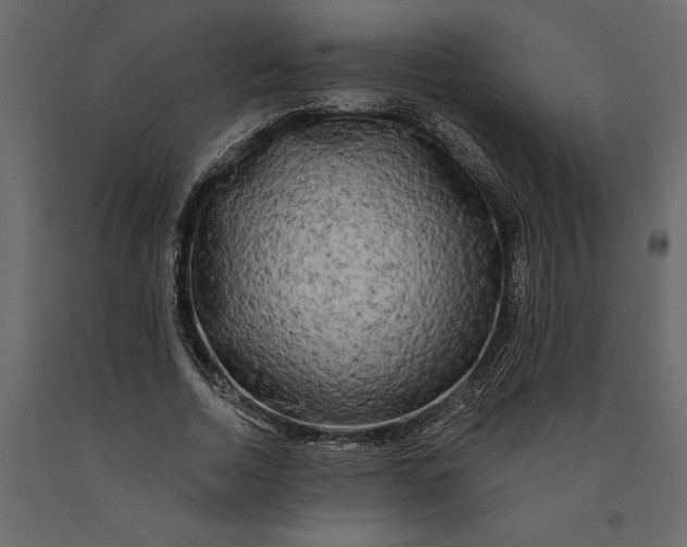 X0000091090730200708271255