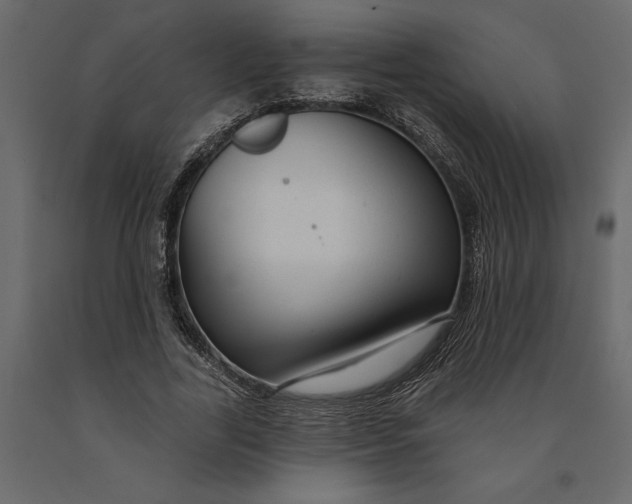 X0000091090731200708271255