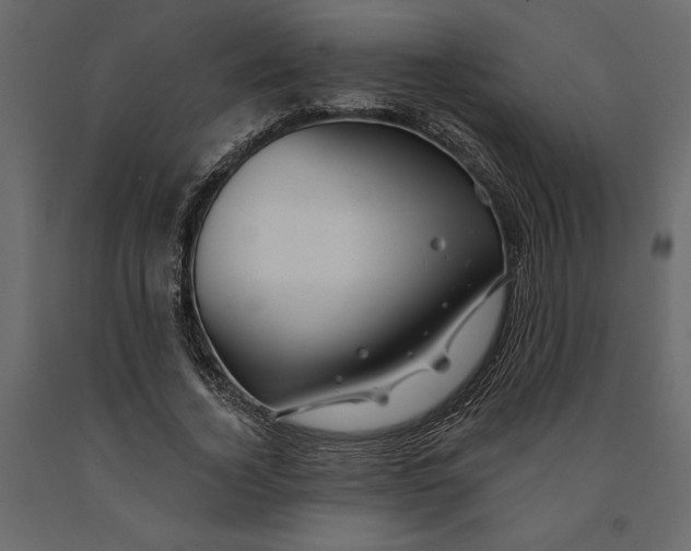 X0000091090732200708271255