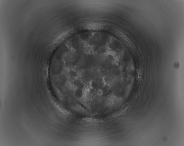 X0000091090733200708271255