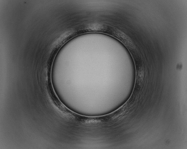 X0000091090734200708271255