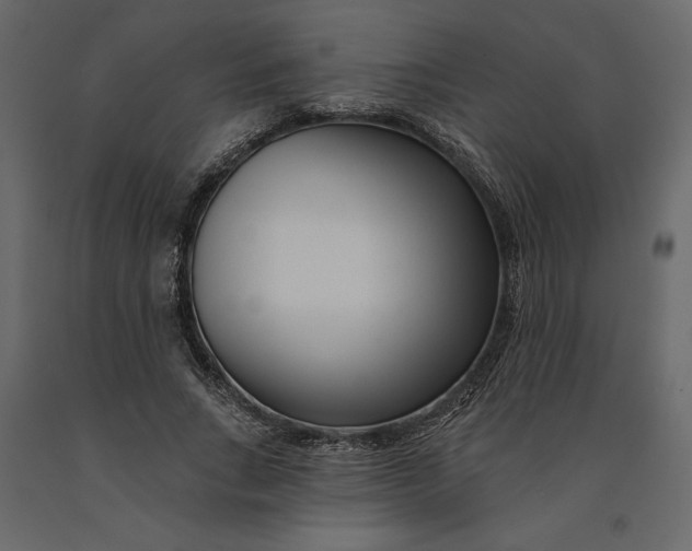 X0000091090735200708271255