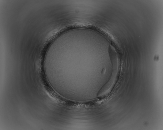 X0000091090736200708271255