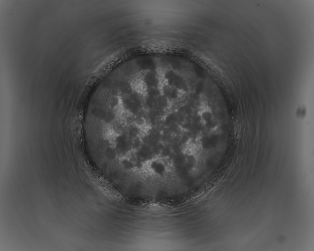 X0000091090737200708271255