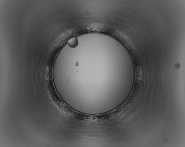 X0000091090738200708271256