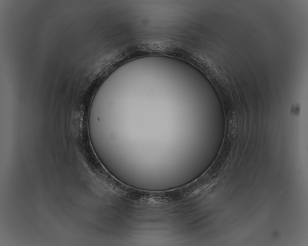 X0000091090739200708271256