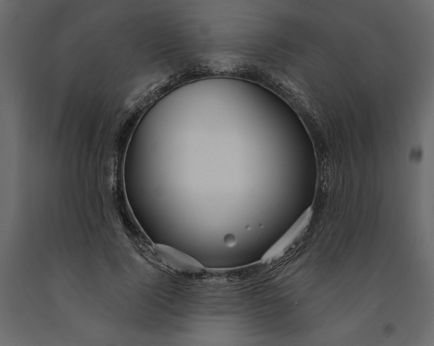 X0000091090740200708271256