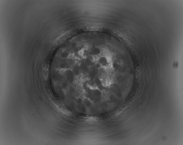 X0000091090741200708271256