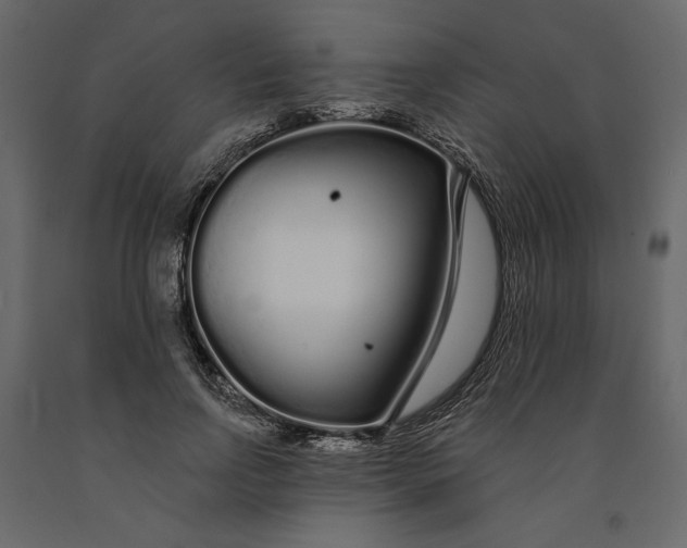 X0000091090742200708271256