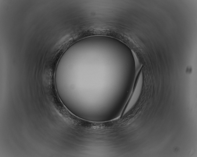 X0000091090744200708271256