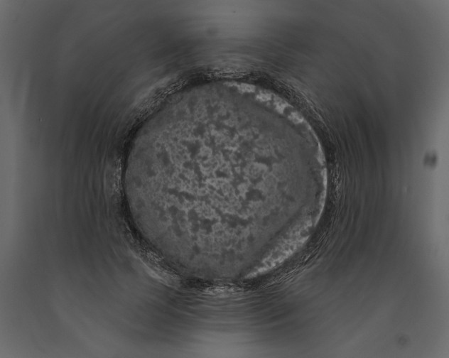 X0000091090745200708271256