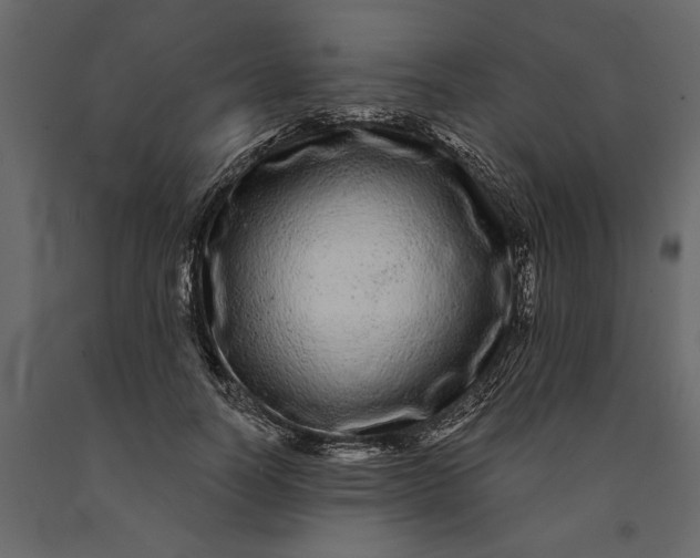 X0000091090746200708271256