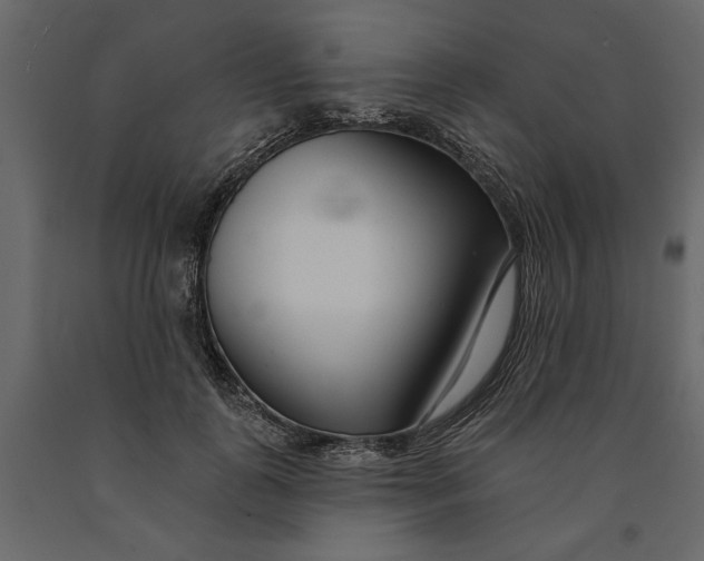 X0000091090747200708271256