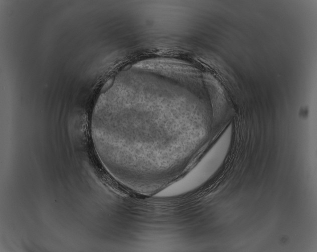 X0000091090748200708271256