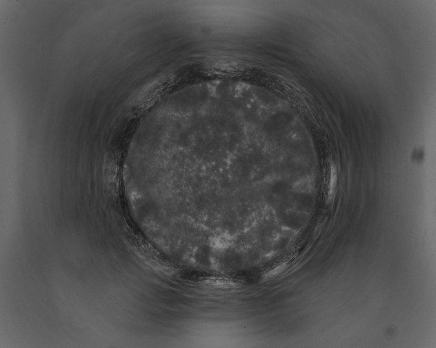 X0000091090749200708271256