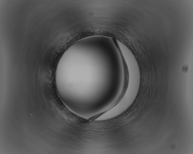 X0000091090750200708271256