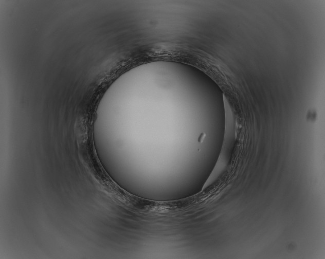 X0000091090751200708271256