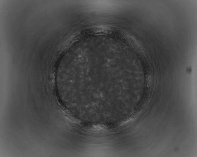 X0000091090753200708271256