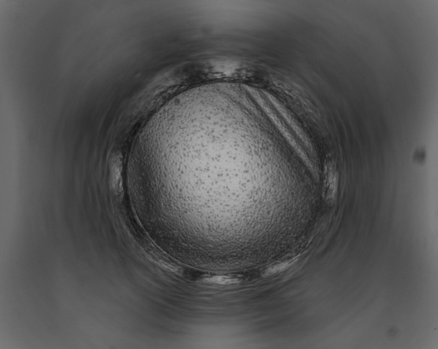 X0000091090754200708271256