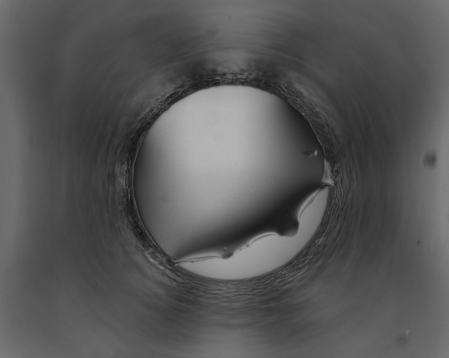 X0000091090756200708271256