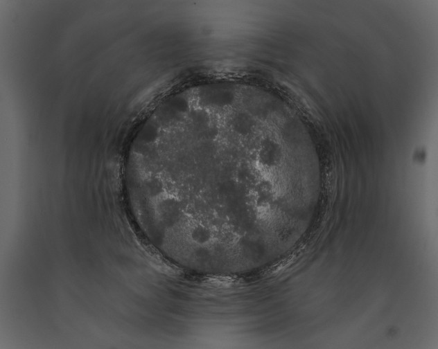 X0000091090757200708271256