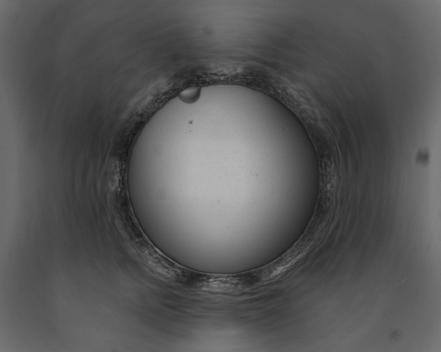 X0000091090758200708271256